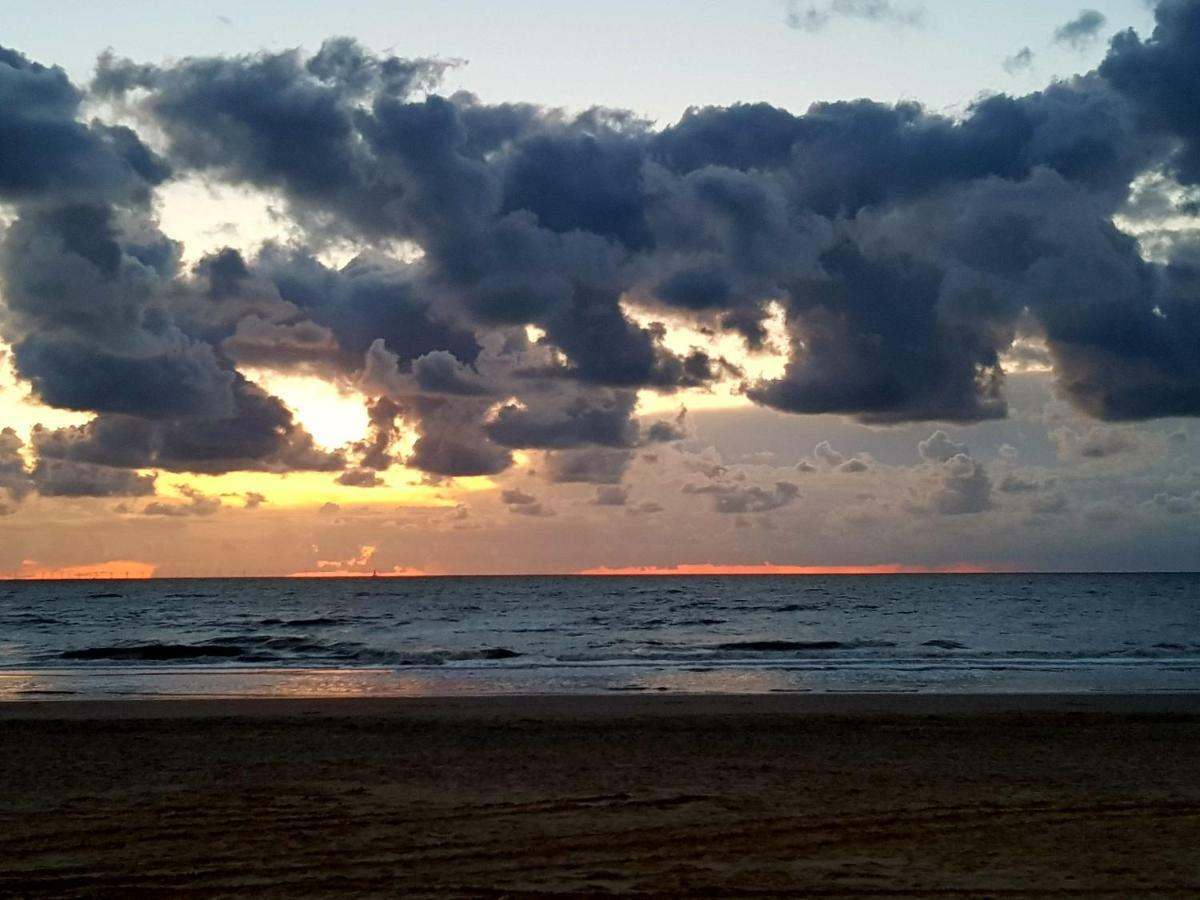 Excellent Beach Apartments Zandvoort Bagian luar foto